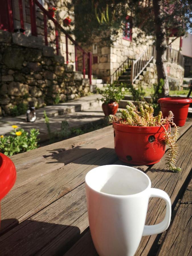 Casas Na Terra Βίλα Seia Εξωτερικό φωτογραφία