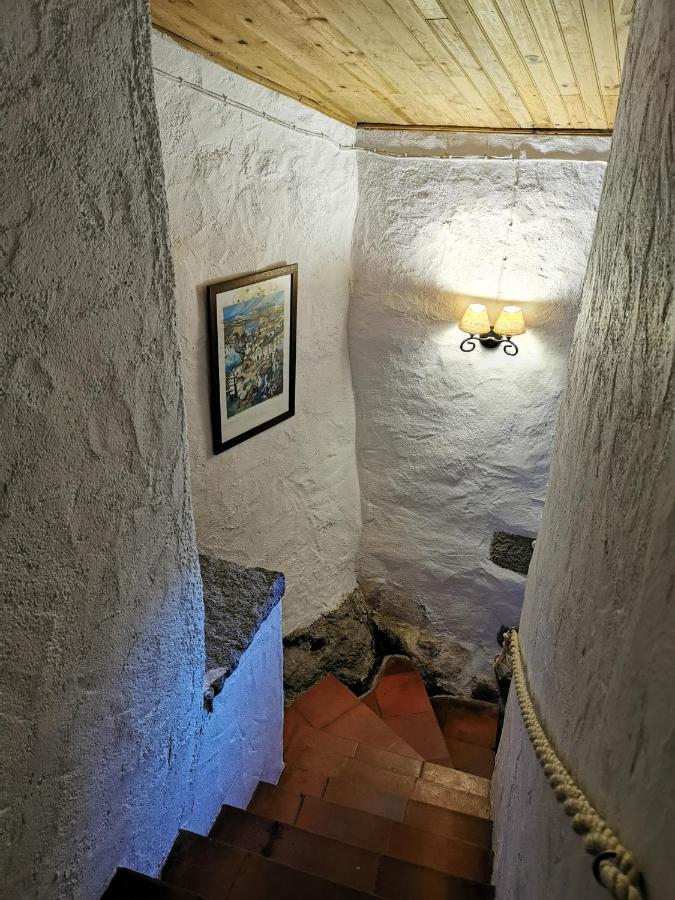 Casas Na Terra Βίλα Seia Εξωτερικό φωτογραφία