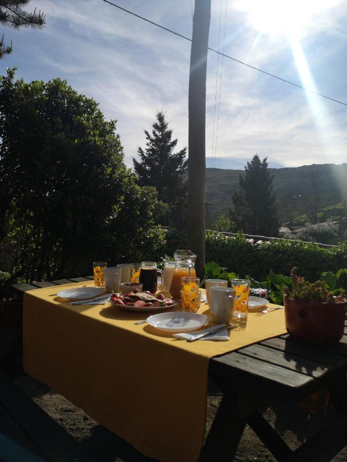 Casas Na Terra Βίλα Seia Εξωτερικό φωτογραφία