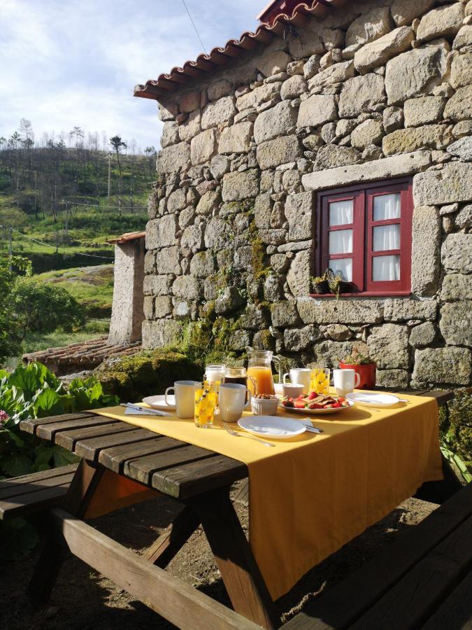 Casas Na Terra Βίλα Seia Εξωτερικό φωτογραφία