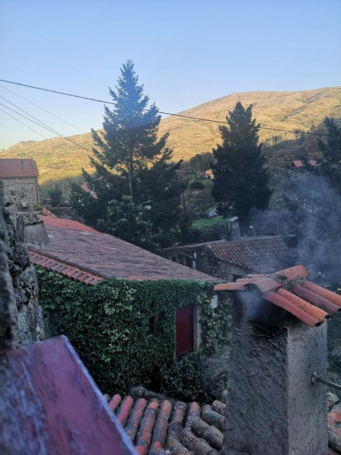 Casas Na Terra Βίλα Seia Εξωτερικό φωτογραφία