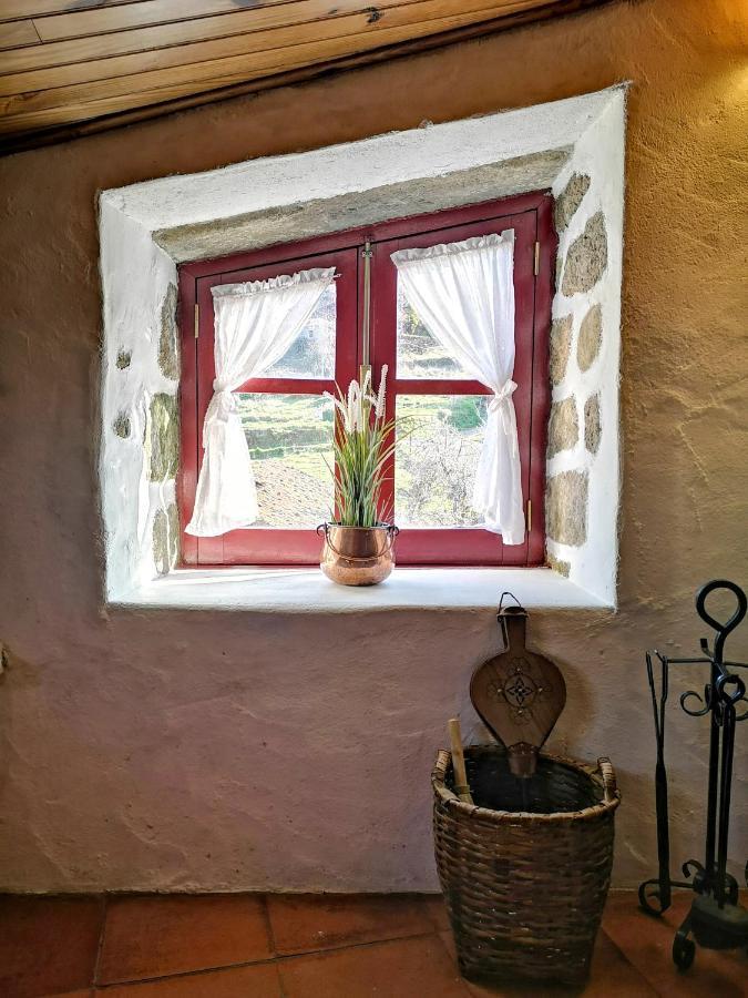 Casas Na Terra Βίλα Seia Εξωτερικό φωτογραφία