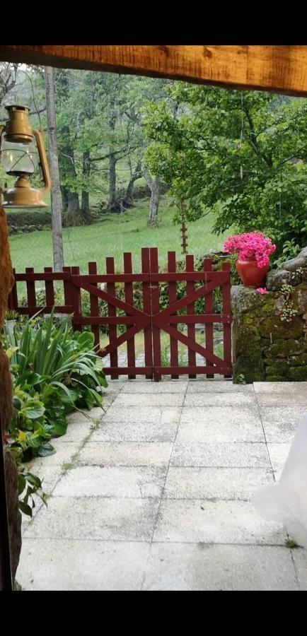 Casas Na Terra Βίλα Seia Εξωτερικό φωτογραφία