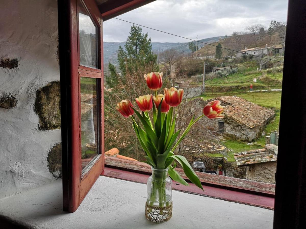 Casas Na Terra Βίλα Seia Εξωτερικό φωτογραφία